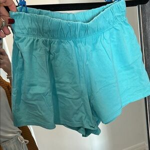 wild fable aqua stretchy shorts